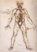 LEONARDO da Vinci You branching of the Blutgefabe, anatomical figure with heart kidneys and Blutgefaben Sweden oil painting artist